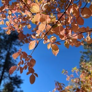 Meet your Posher, Vivian